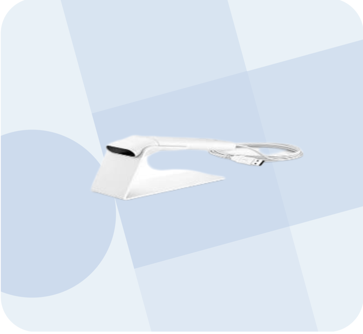 pixelcut export 2024 12 17T161859.405