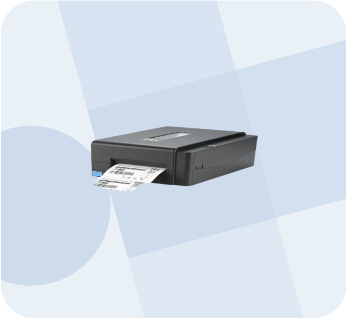 pixelcut export 2024 12 17T221527.411