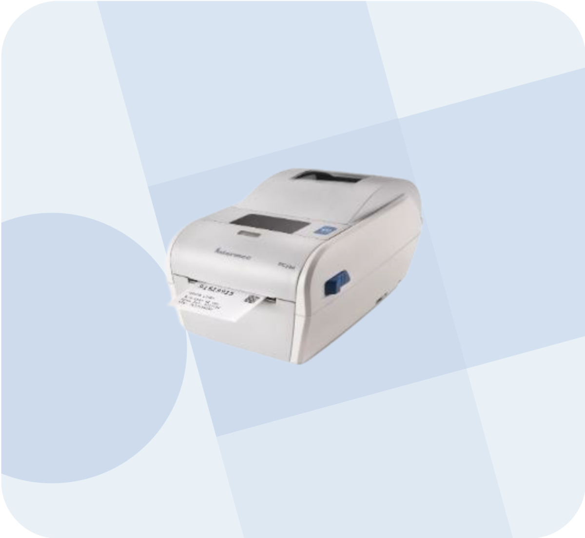 pixelcut export 2024 12 17T221721.207