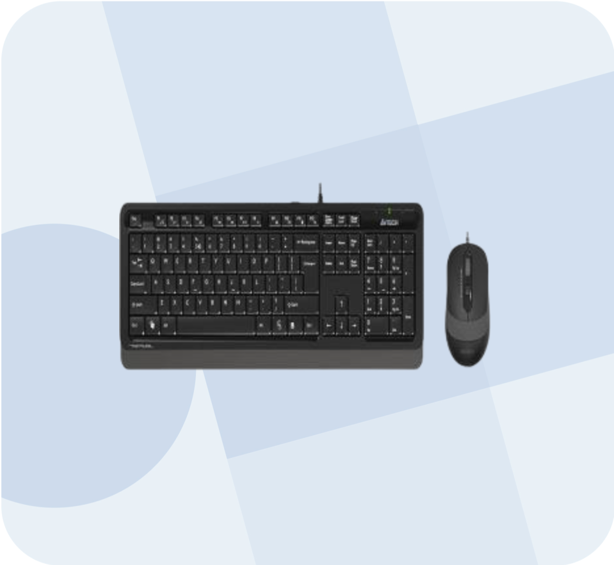 pixelcut export 2024 12 19T154512.558